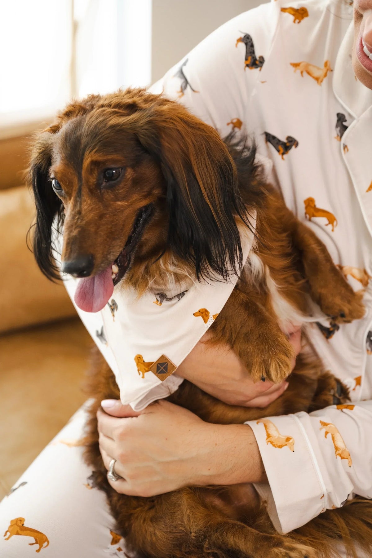 Dog Bandana in Dachshund