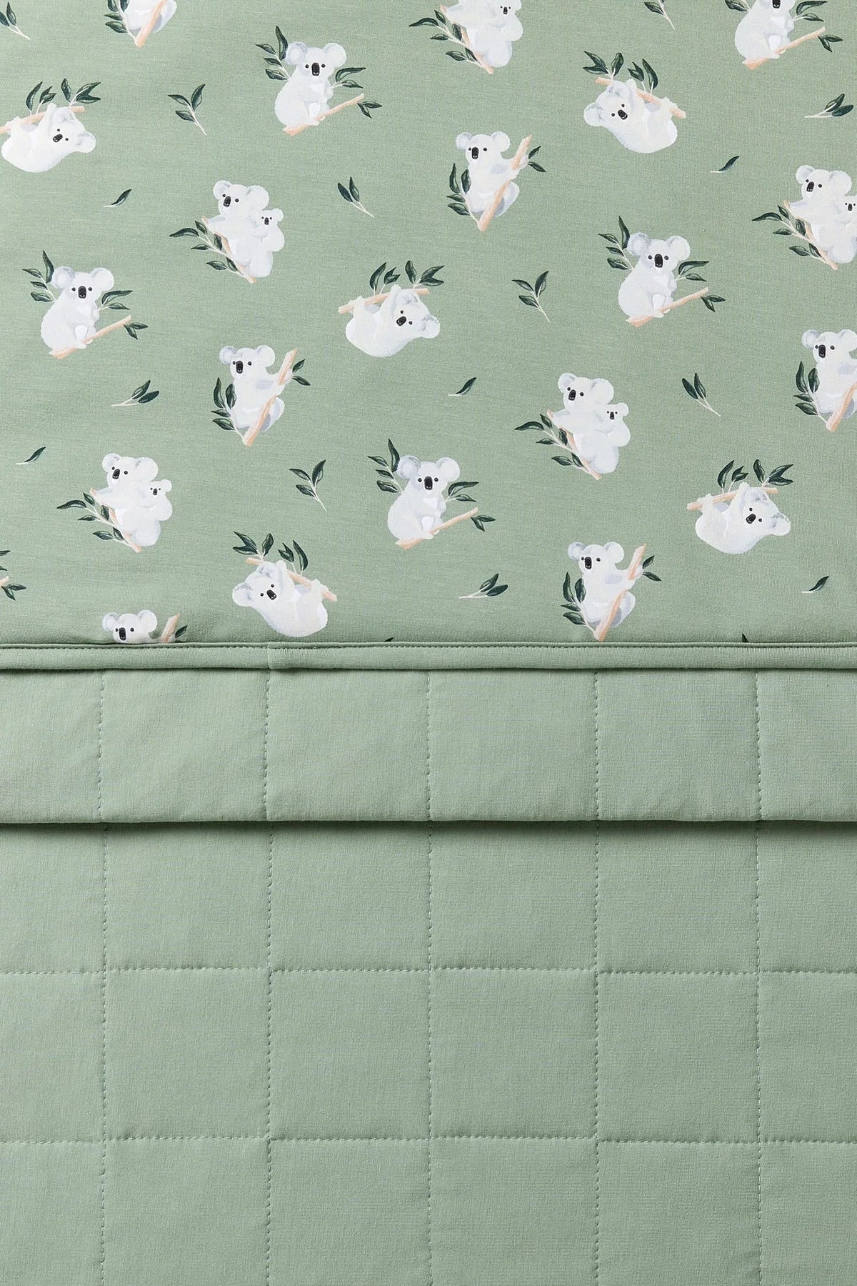 Youth Blanket in Koala 2.5